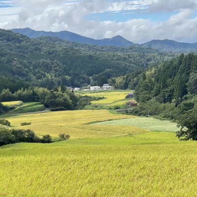 【毎月定期便】プレミアム仁多米(なおらい米)真空パック 2kg×5袋(松江市)全6回