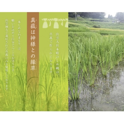 「家族みんなで」「大切な仲間と」出雲の国のパワーを共有したい!【本しめなわまもり】4個セット!