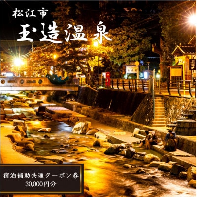 玉造温泉共通クーポン券　30,000円分