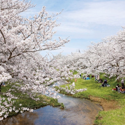 玉造温泉共通クーポン券　90,000円分