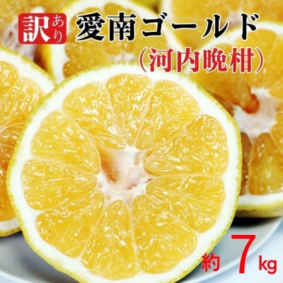 訳あり 愛南ゴールド ( 河内晩柑 ) 7kg 愛南町 青果市場 なくなり次第終了