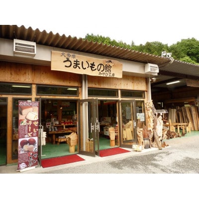 イチョウ(銀杏)のまな板(中)