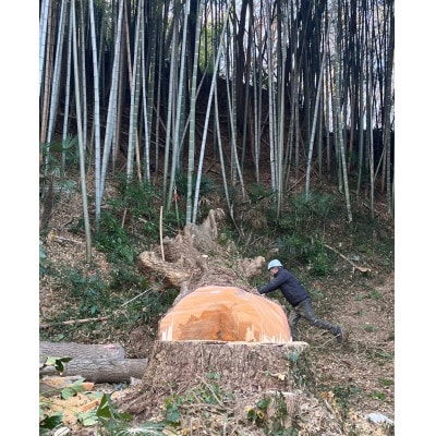 イチョウ(銀杏)のまな板(大)