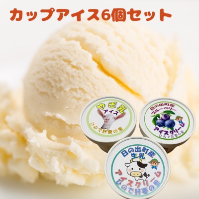 カップアイス6個セット(やぎ乳・プレーン・ブルーベリー)