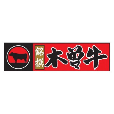 銘撰木曽牛サーロイン(ステーキカット)約250g×2枚