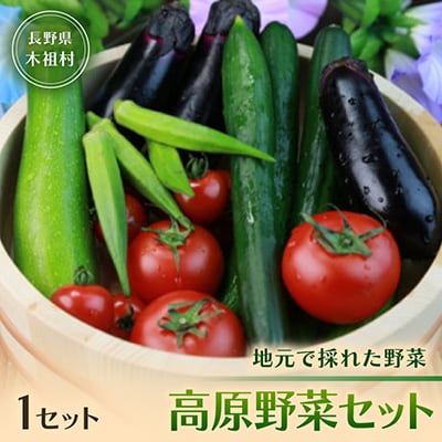 【地元で採れた野菜】源気屋　高原野菜セット