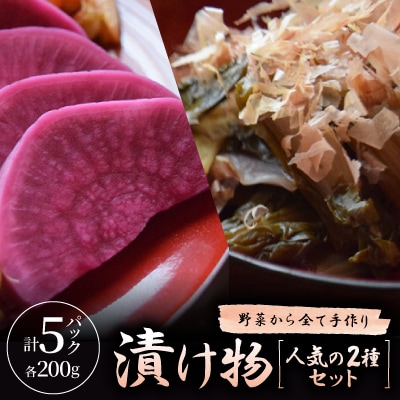 【野菜から全て手作り】漬け物「人気の2種セット計5パック」【2026年1月下旬より順次発送】