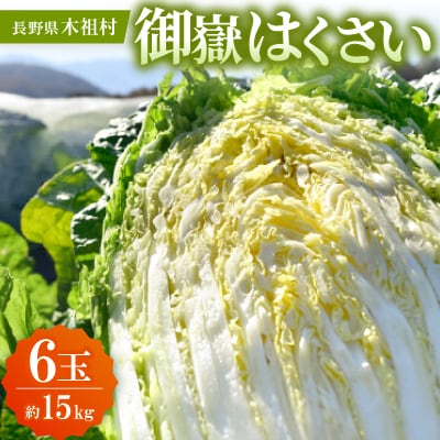 【一玉一玉が大きい!シャキシャキ新鮮】御嶽はくさい 6玉