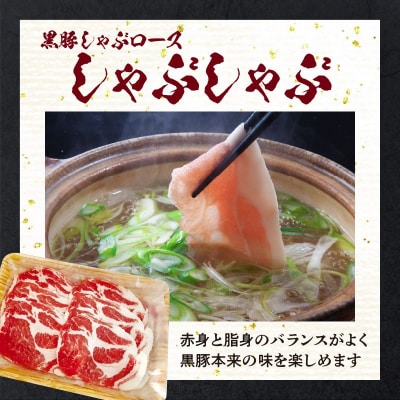 とんかつ用黒豚・しゃぶしゃぶ・生ハムセット