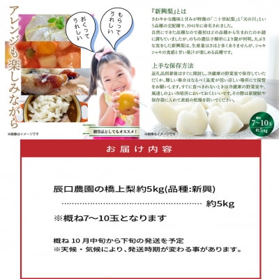 【先行受付】令和7年発送 /辰口農園の橋上梨約5kg(品種:新興)_1288R
