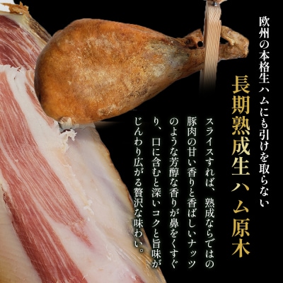 N450A長期熟成生ハム原木1本 長期熟成 生ハム 生ハム原木     　7キロ　U9