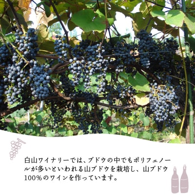 飲むお酢　やまぶどうワインビネガー