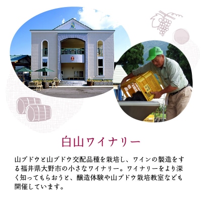 飲むお酢　やまぶどうワインビネガー