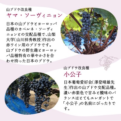 Andosols赤ワイン&恐竜ワインセット