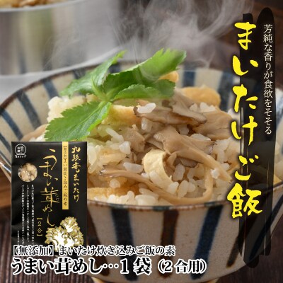 九頭竜まいたけとカレー・ごはんの素など加工品セット(Cセット)
