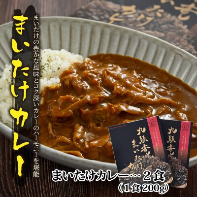 九頭竜まいたけとカレー・ごはんの素など加工品セット(Cセット)