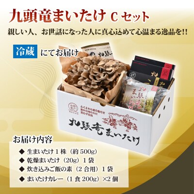 九頭竜まいたけとカレー・ごはんの素など加工品セット(Cセット)