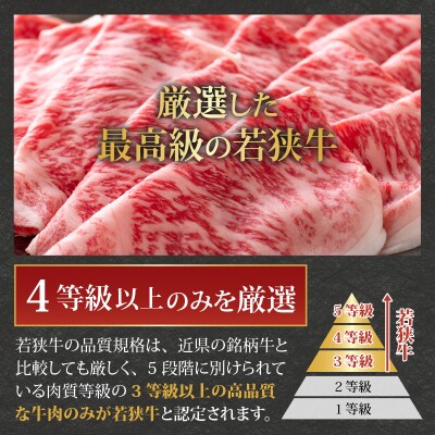 【福井ブランド牛肉】若狭牛ロース・肩ロース肉 しゃぶしゃぶ用 500g(250g×2パック)