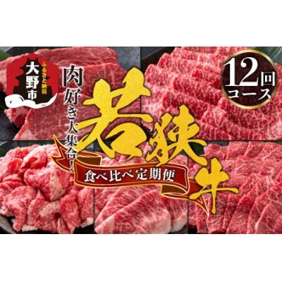 【肉の定期便×12回コース】肉好き大集合!若狭牛食べ比べ 定期便!【福井のブランド牛肉】