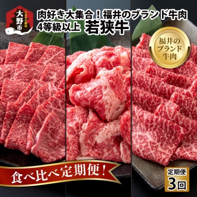 【肉の定期便×3回コース】肉好き大集合!若狭牛 食べ比べ 定期便!【福井のブランド牛肉】