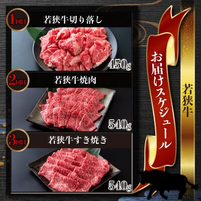 【肉の定期便×3回コース】肉好き大集合!若狭牛 食べ比べ 定期便!【福井のブランド牛肉】