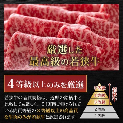 【肉の定期便×3回コース】肉好き大集合!若狭牛 食べ比べ 定期便!【福井のブランド牛肉】