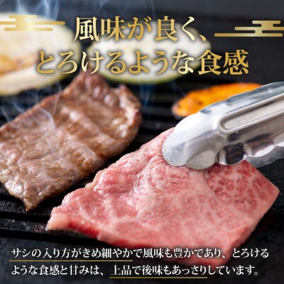 【肉の定期便×3回コース】肉好き大集合!若狭牛 食べ比べ 定期便!【福井のブランド牛肉】