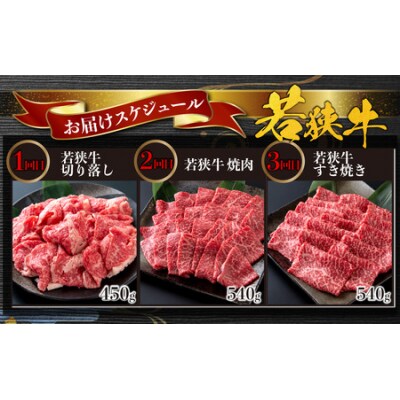 【肉の定期便×6回コース】肉好き大集合!若狭牛 食べ比べ 定期便!【福井のブランド牛肉】
