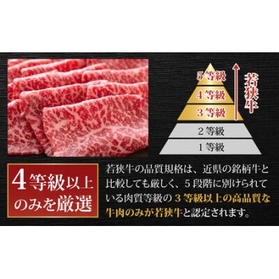 【肉の定期便×6回コース】肉好き大集合!若狭牛 食べ比べ 定期便!【福井のブランド牛肉】