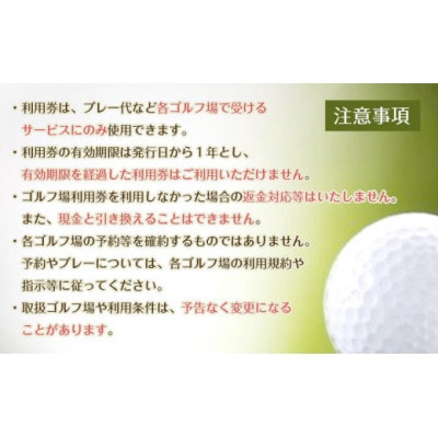 豊田市ゴルフ場利用券10枚(市内16ゴルフ場利用可)