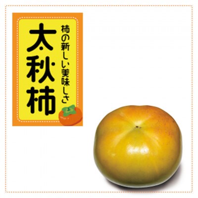 【先行受付】太秋柿　約4.5kg【2025年9月下旬以降順次発送】