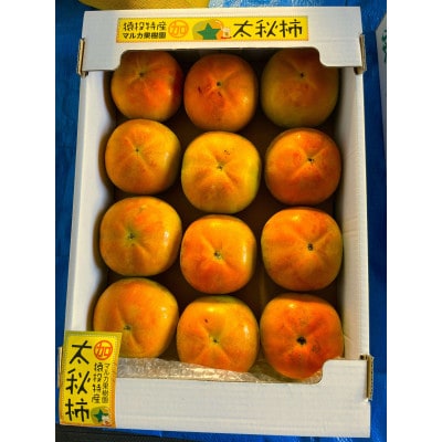 【先行受付】太秋柿　約4.5kg【2025年9月下旬以降順次発送】