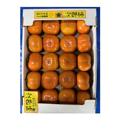 《先行受付》次郎柿　約4.6kg【2026年11月上旬以降順次発送】
