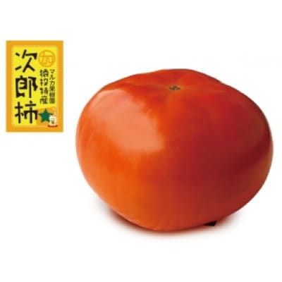 《先行受付》次郎柿　約4kg【2026年11月上旬以降順次発送】