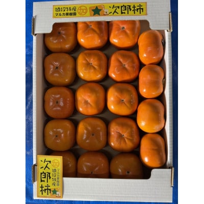 《先行受付》次郎柿　約4kg【2026年11月上旬以降順次発送】