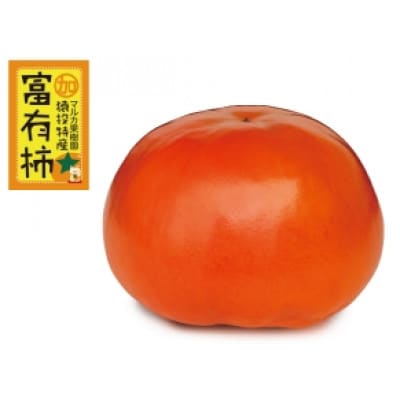 《先行受付》富有柿　約4.6kg【2026年11月上旬以降順次発送】
