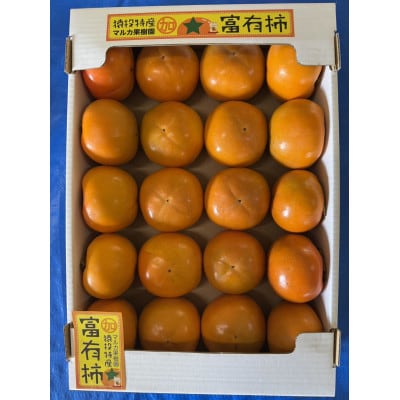 《先行受付》富有柿　約4.6kg【2026年11月上旬以降順次発送】