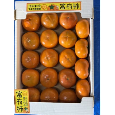 《先行受付》富有柿　約4kg【2026年11月上旬以降順次発送】