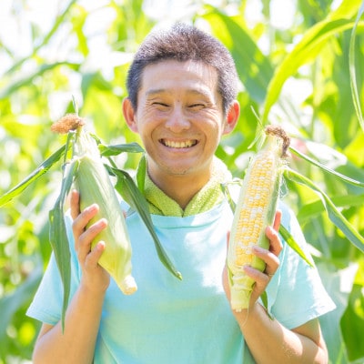 無添加!豊田市産トウモロコシのクラフトアイス(6個入り)