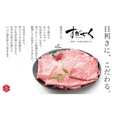 【みかわ牛】和牛すきやき切落し600g