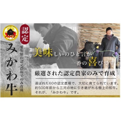 【みかわ牛】和牛すきやき切落し600g