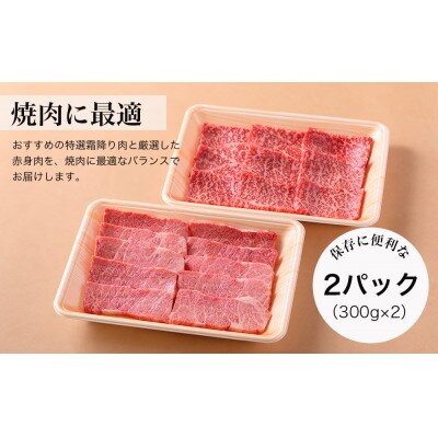 【みかわ牛】特選和牛焼肉用600g