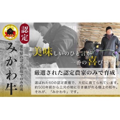 【みかわ牛】和牛赤身ステーキ100g×3枚