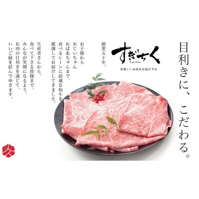 【みかわ牛】肉屋厳選極上部位6種