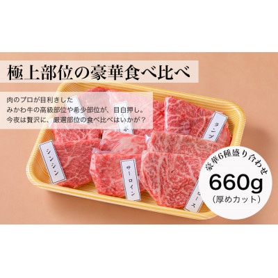 【みかわ牛】肉屋厳選極上部位6種
