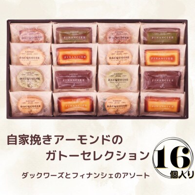 自家挽きアーモンドのガトーセレクション(16個)