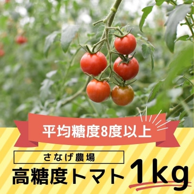 高糖度トマト【瑞甘】1kg