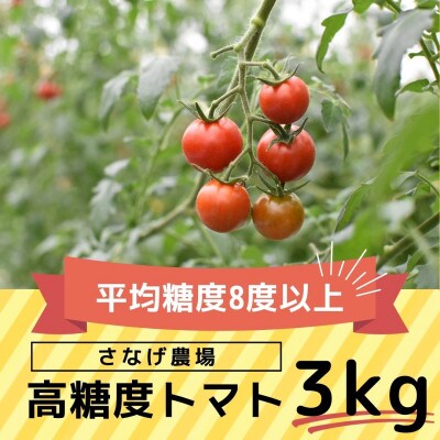 高糖度トマト【瑞甘】3kg