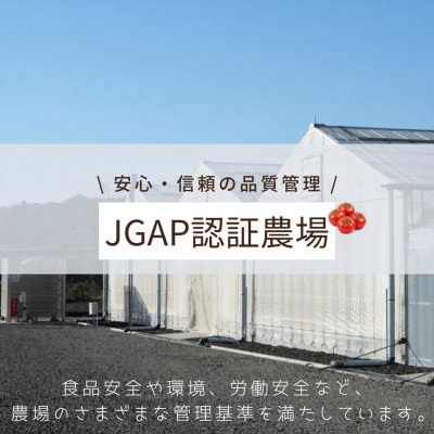 プレミアムホワイト　12本