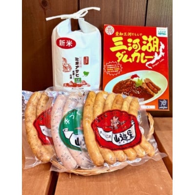 三河湖ダムカレーセット